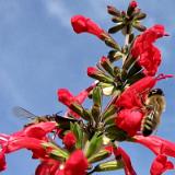 1201S 26 Schloss Neuhaus Okt 03